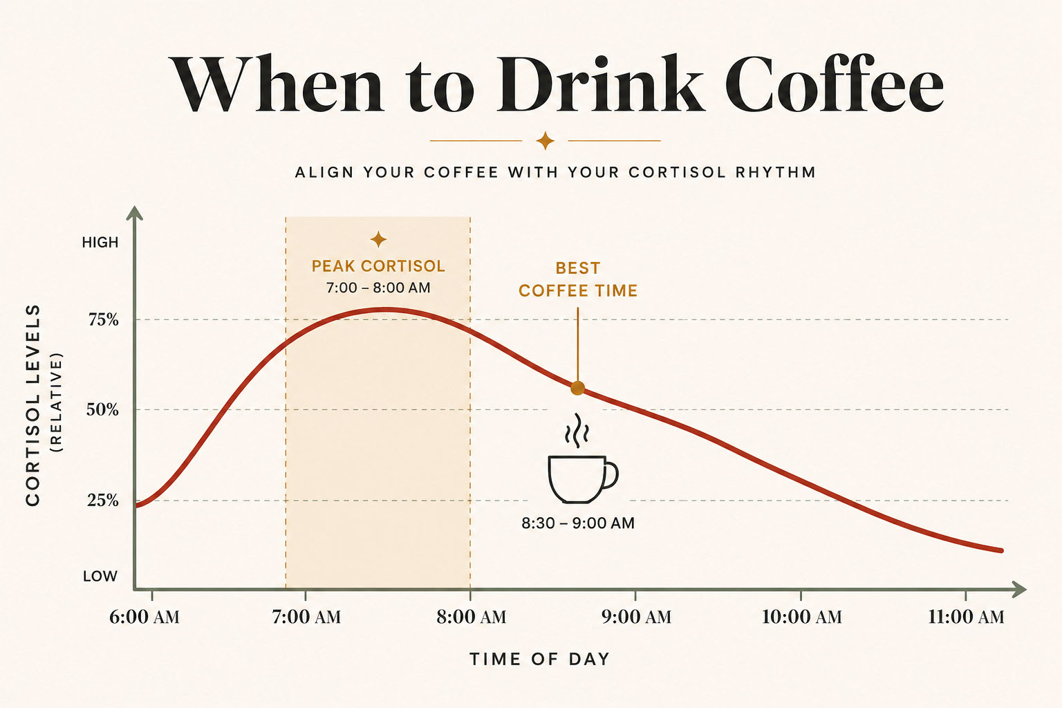 Infographic showing cortisol curve and the best time to add coffee to a morning routine drink schedule