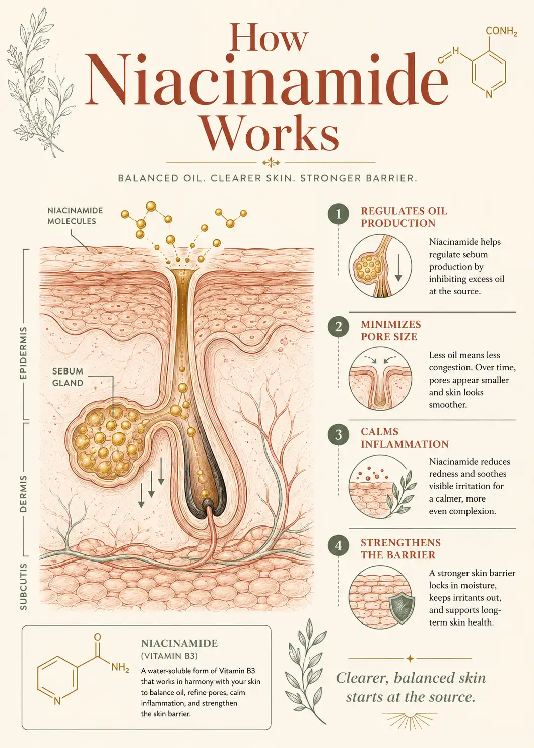 Infographic showing how niacinamide controls oil in a morning skincare routine for oily skin