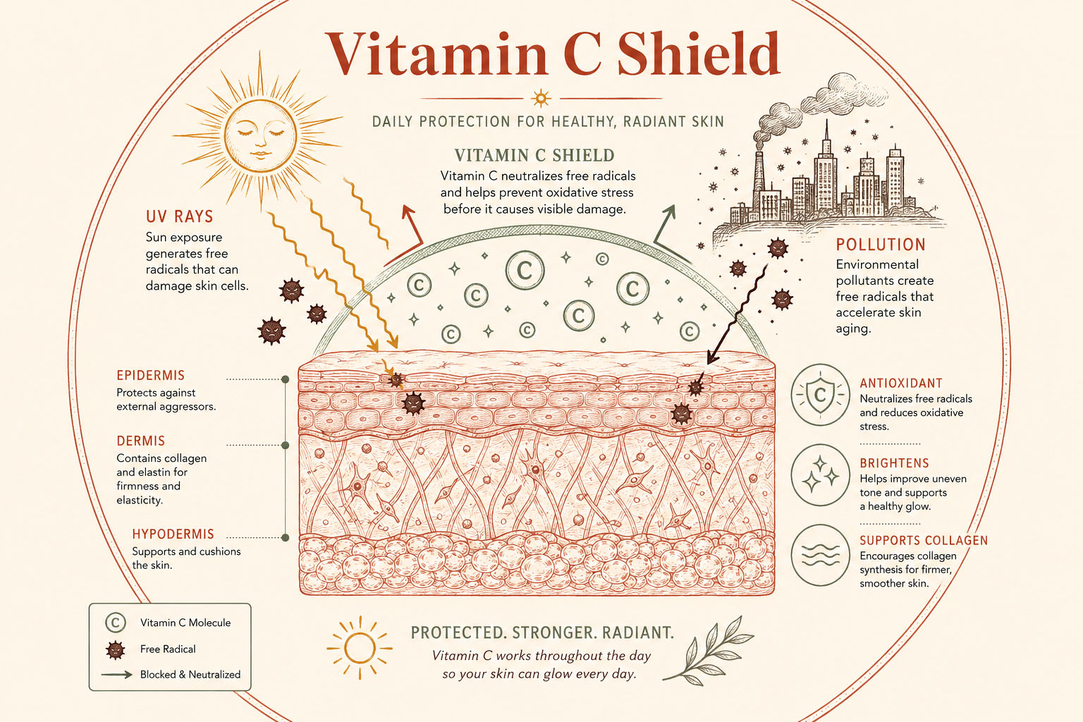 Infographic showing how vitamin C serum protects skin during a morning skincare routine